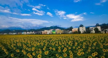 開發(fā)農(nóng)旅項目怎么 拿地 最全報批流程請收好