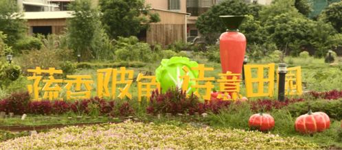 科技農業 度假旅游,源城蔬菜現代農業產業園打造農旅融合發展樣板