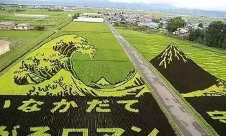 2019年,7個能賺錢的農(nóng)業(yè)新模式