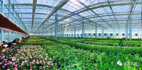 鄉(xiāng)村振興 錢從哪來 錢往哪去