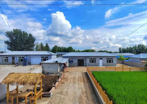 堅持 農(nóng)文旅 融合發(fā)展 奏響鄉(xiāng)村振興 協(xié)奏曲