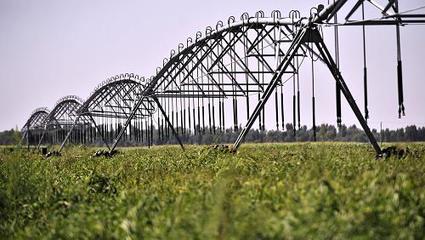 西部大開發(fā)10周年:設(shè)施農(nóng)業(yè)促內(nèi)蒙古成為&ldquo;天下糧倉&rdquo;