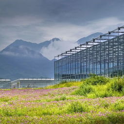 武功山.花澗里現代農業觀光園開園儀式順利舉辦 內附大量美圖