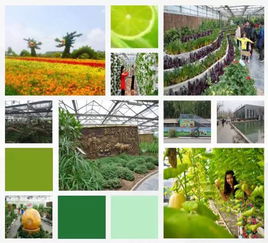 超詳細的農業公園概念及規劃方法 ppt