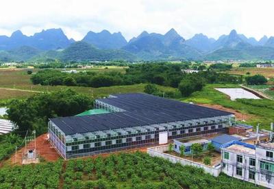 在工廠里種田!清遠1個育秧中心=1.2萬畝田需求