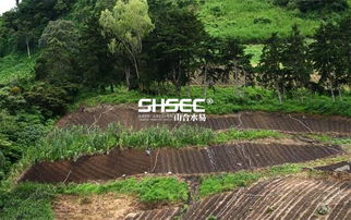 生態農業旅游發展思路 生態農業旅游是什么