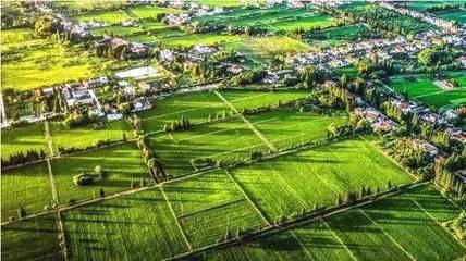 現代農村,建設綠色可持續發展的產業新格局