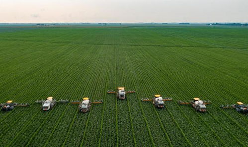 賦能農林業,助力鄉村振興