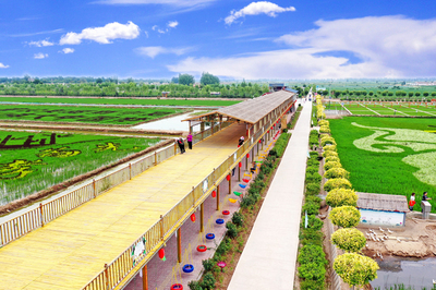 【我們的&ldquo;金飯碗&rdquo;②】四十里店村:魚米之鄉(xiāng)新時(shí)尚