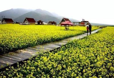 美麗鄉(xiāng)村:文旅融合的主要思路