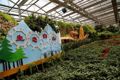 這里一園看四季 頂尖旅游達人紛紛來點贊