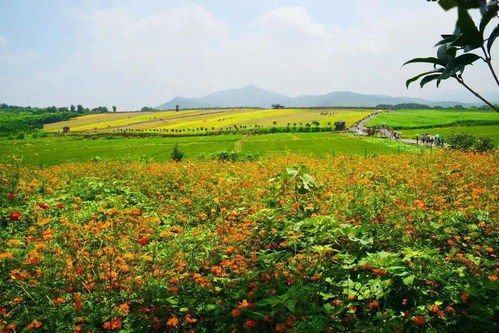 全部免票 湖北這份電話名單,請(qǐng)收好