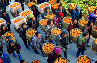 重慶秀山:務(wù)實(shí)創(chuàng)新抓文旅融合發(fā)展 攻堅(jiān)克難促旅游再創(chuàng)新高