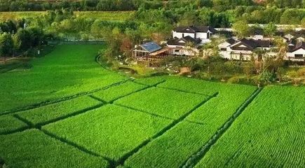 走進(jìn)成都:看多利農(nóng)莊破題開發(fā)商進(jìn)軍鄉(xiāng)村!