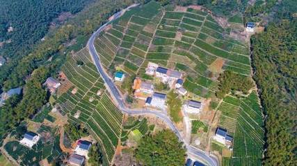 漁山鄉(xiāng)如何大力發(fā)展美麗經濟?區(qū)農辦怎樣打造鄉(xiāng)村振興先行區(qū)?