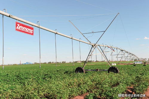 鵬睿集團 田園綜合體 振興鄉村戰略發展