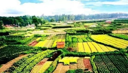 國家級田園綜合體的十大開發模式 農業與旅游業結合