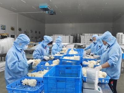 &ldquo;建黨百年 紅色追憶--全國網絡名人看商洛&rdquo;主題宣傳活動走進商州