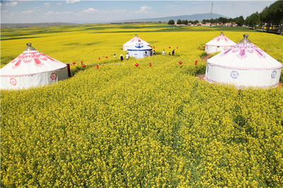 張掖民樂(lè)縣五項(xiàng)舉措推動(dòng)鄉(xiāng)村旅游扶貧工作