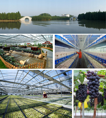 五四公司以五大舉措奏響殷實(shí)農(nóng)場(chǎng)建設(shè)最強(qiáng)音