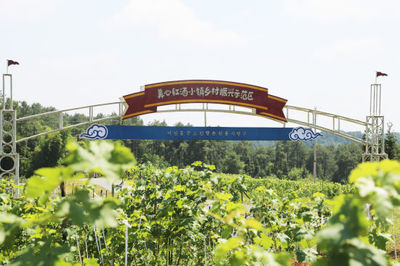 重慶:生態(tài)農(nóng)業(yè)旅游示范區(qū)引領(lǐng)鄉(xiāng)村產(chǎn)業(yè)發(fā)展