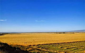 還說我國農藥殘留監管不如國外 現已超過國際食品法典 雞蛋價格啥時候 蛋定 專家 節前沖高,節后回調 中科協揭秘8月 科學流言