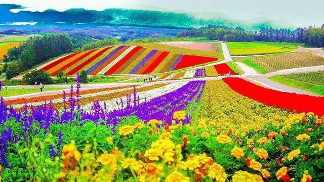 失敗的休閑農(nóng)業(yè)案例告訴我們,除了錢這些東西也很重要!