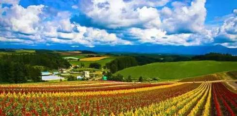 關(guān)注農(nóng)業(yè)休閑綜合體!以旅游休閑為導(dǎo)向的土地綜合開發(fā)新模式