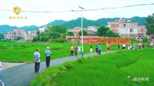 雙節(jié) 假期梧州旅游人次和旅游消費同比恢復(fù)超八成