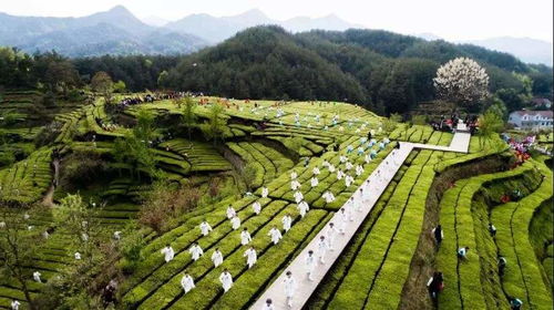 劉力 疫情對(duì)文旅行業(yè)發(fā)展帶來(lái)的改變