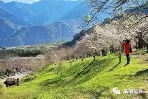 如何區(qū)分鄉(xiāng)村旅游和休閑農(nóng)業(yè)這兩個(gè)概念