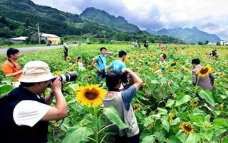 2016年中國休閑農(nóng)業(yè)十五大事件