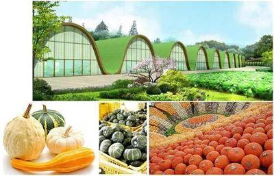 重大招商項目 現(xiàn)代農(nóng)業(yè)、電子信息及農(nóng)業(yè)旅游開發(fā)