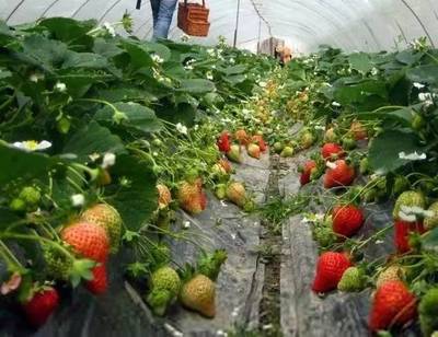 厲害了！江蘇9縣市被中央點贊，揚州上榜！快看看有沒有你家~