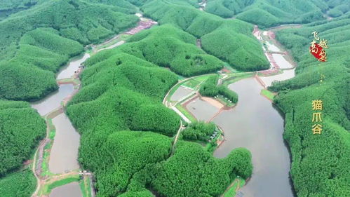 2020年度省級休閑農業與鄉村旅游示范鎮示范點公示 高要兩處上榜，助推農業旅游開發