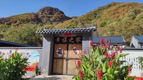 這里，迎來了農(nóng)業(yè)旅游最佳觀賞季