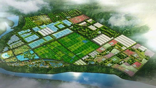 鄉(xiāng)村旅游與休閑農(nóng)業(yè)開發(fā)的十大誤區(qū)與規(guī)避策略