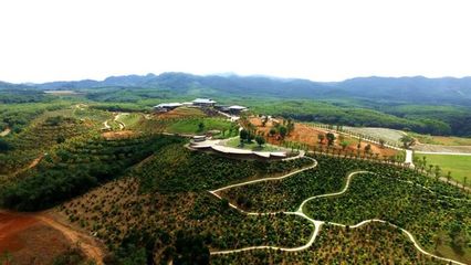 巾幗科技繪就田園新景 儋州某單位榮膺“全國巾幗現(xiàn)代農(nóng)業(yè)科技示范基地”的啟示