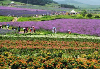 探索休閑農(nóng)業(yè)多元發(fā)展路徑與科學(xué)規(guī)劃之道