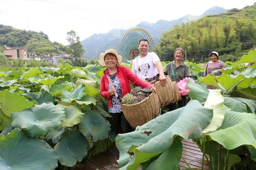 請(qǐng)人民閱卷丨村頭鎮(zhèn) 瞄準(zhǔn)新方位，扛起新使命，全面開啟農(nóng)旅融合新篇章