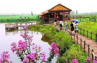 鄉(xiāng)村旅游不止于農(nóng)家樂 六大創(chuàng)新模式引領(lǐng)農(nóng)業(yè)旅游開發(fā)新篇章