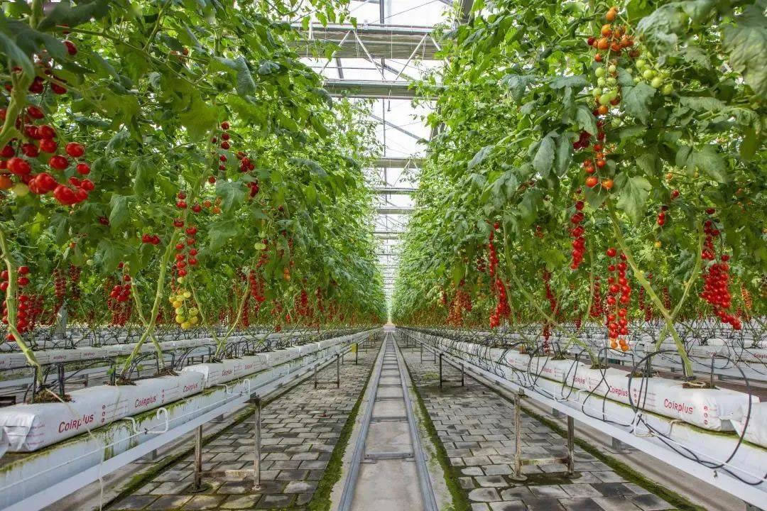 湘潭農(nóng)博園游玩全攻略 探秘“全國(guó)休閑農(nóng)業(yè)與鄉(xiāng)村旅游示范點(diǎn)”