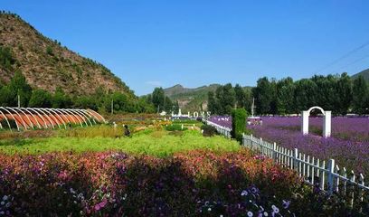 創(chuàng)意農(nóng)業(yè)丨他山之石 城郊休閑農(nóng)業(yè)的創(chuàng)意源泉與旅游開發(fā)新路徑