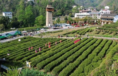 西八千鄉農業旅游開發 開啟鄉村振興的嶄新篇章