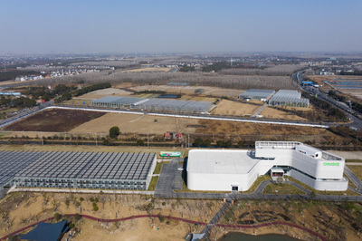 浙江平湖 現代“植物工廠”春意濃，科技農業賦能鄉村旅游新篇章