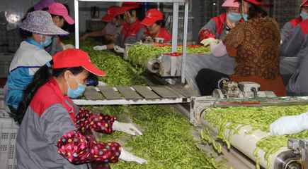 海南產業扶貧聚民心，農旅融合繪就鄉村振興新畫卷